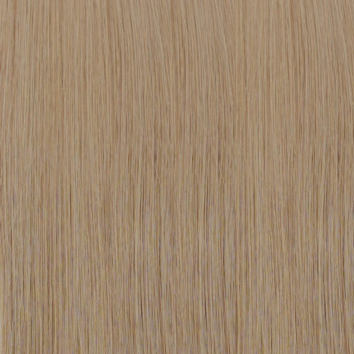 Weft Extensions / Dirty Blonde