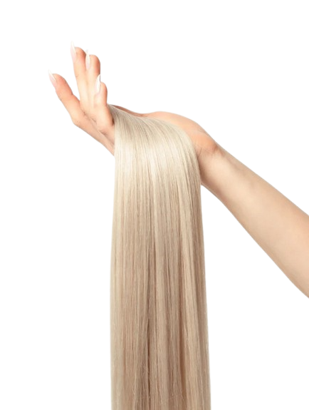 Clip In Extensions / Iced Platinum