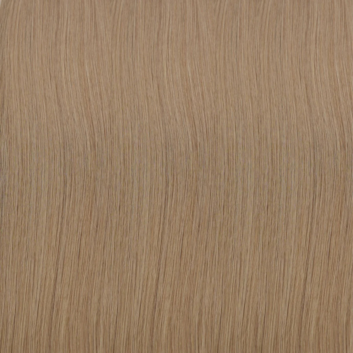 Tape Extensions / Honey