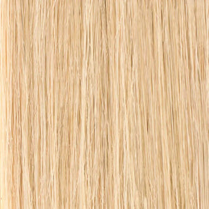 Weft Extensions / Natural Blonde